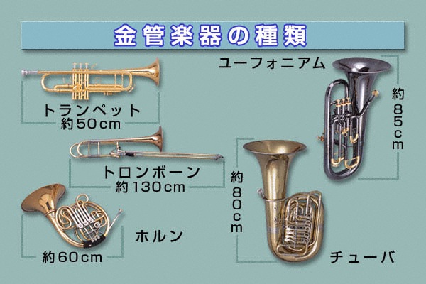 金管楽器（トランペット、トロンボーン、ホルン、ユーフォニアム）